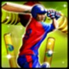 Cricket T20 Fever 3D 96 APK for Android Icon