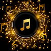 Pi Music Player 3.1.6.1_release_4 APK for Android Icon