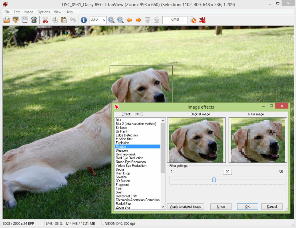 IrfanView 4.66 for Windows Screenshot 1