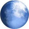 Pale Moon 33.0.2 for Windows Icon